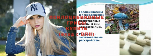 МДПВ Абаза