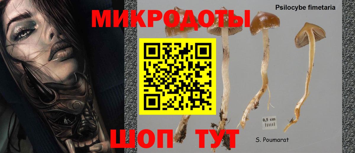 Сочи  Псилоцибиновые грибы Psilocybine cubensis  наркотики  Вход с VPN 